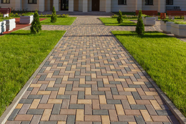 Best Driveway Paving Contractor  in Blennerhassett, WV